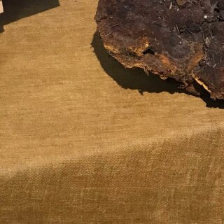 OCTOBRE ET SES CHAMPIGNONS - il sont là, en plus ou moins grandes quantités selon la météo. Je parcours la forêt et continue mes explorations.
Deux type de recherches sont en cours, une première partie consiste à faire de premier test simple avec les espaces que je découvre pour la première fois. La deuxième consiste à aller un peu plus loin en faisant des test en fonction des molécules de chaque champignons (quand je trouve des informations sur le sujet).
#teinture #wildcolor #naturaldye #mushroomdyeing #naturalcolours 
—-
Charlène Poret - Artextiles
Artisane d’art et formatrice en arts textiles Gardienne de savoir-faire