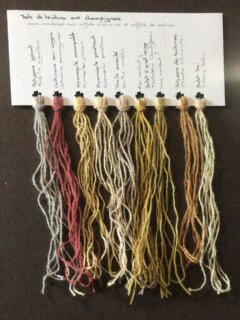 COULEURS D’AUTOMNE - teinture naturelle avec les champignons.
#teinture #wildcolor #naturaldye #mushroomdyeing #naturalcolours
#normandy #ecouvesforest #foretdecouves #orne #foretdecouves 
—-
Charlène Poret - Artextiles
Artisane d’art et formatrice en arts textiles Gardienne de savoir-faire
Dentelles et broderies à l’aiguille et teinture naturelle