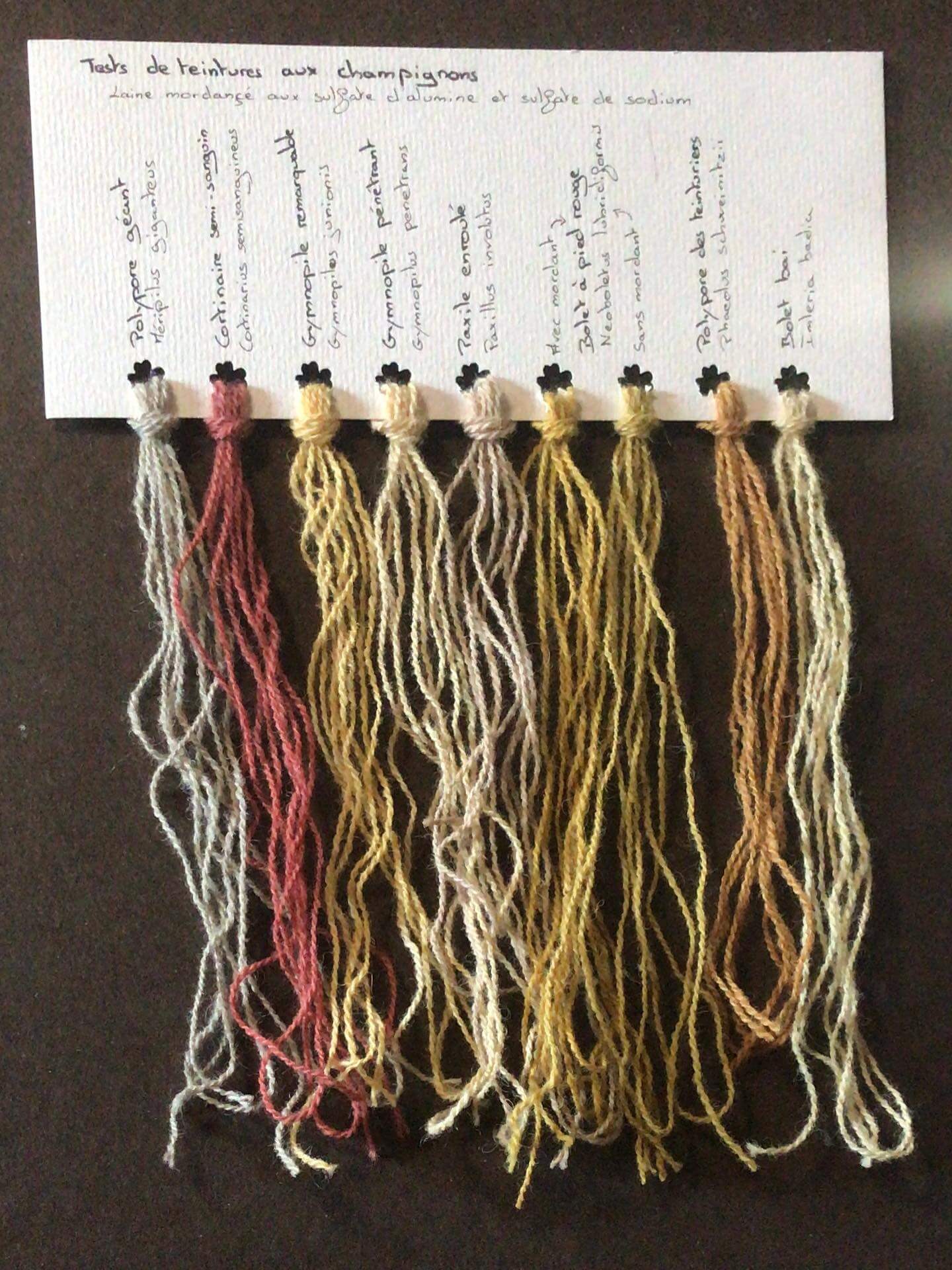 COULEURS D’AUTOMNE - teinture naturelle avec les champignons.
#teinture #wildcolor #naturaldye #mushroomdyeing #naturalcolours
#normandy #ecouvesforest #foretdecouves #orne #foretdecouves 
—-
Charlène Poret - Artextiles
Artisane d’art et formatrice en arts textiles Gardienne de savoir-faire
Dentelles et broderies à l’aiguille et teinture naturelle