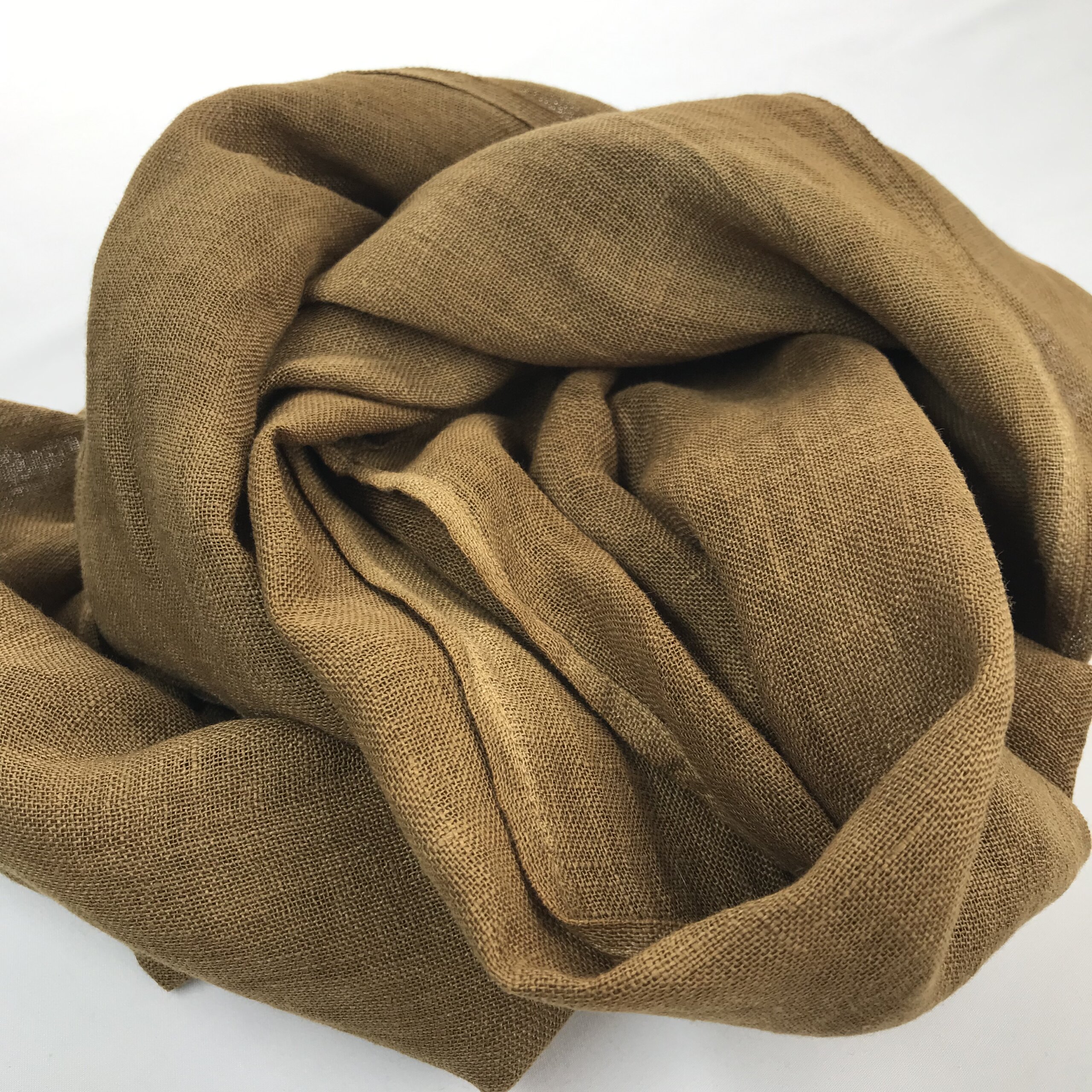 Foulard : Polypore des teinturiers