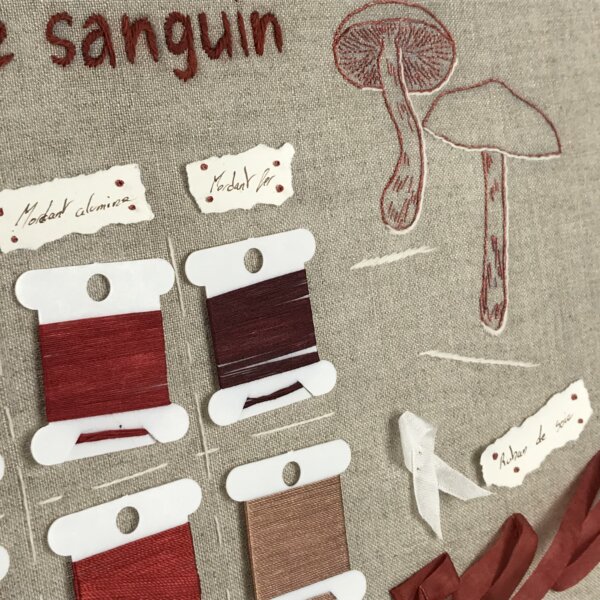 CORTINAIRE SANGUIN – Image 2