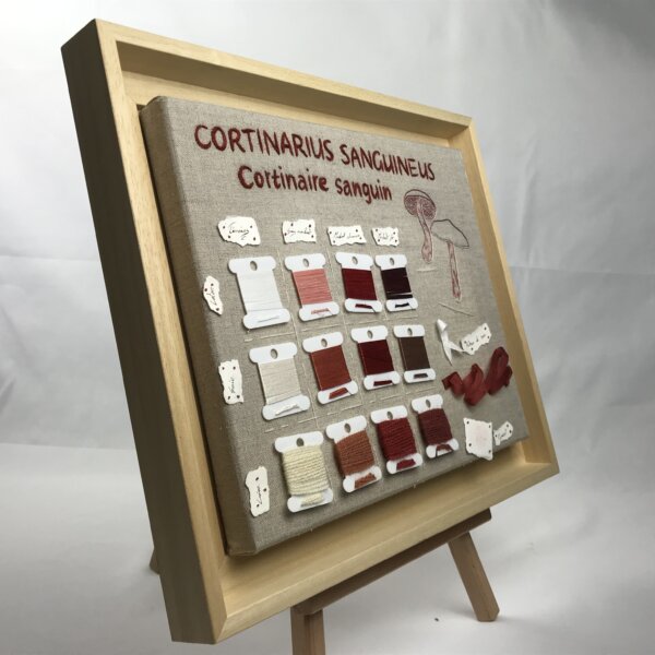 CORTINAIRE SANGUIN – Image 3