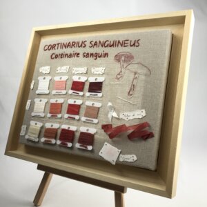 CORTINAIRE SANGUIN