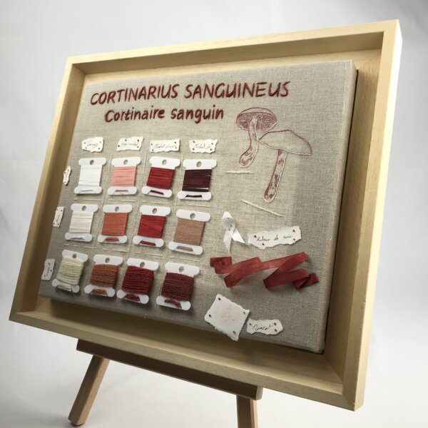 CORTINAIRE SANGUIN