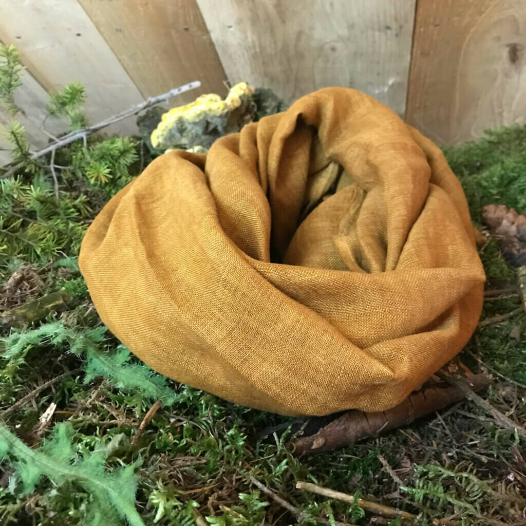 Foulard Polypore des teinturiers