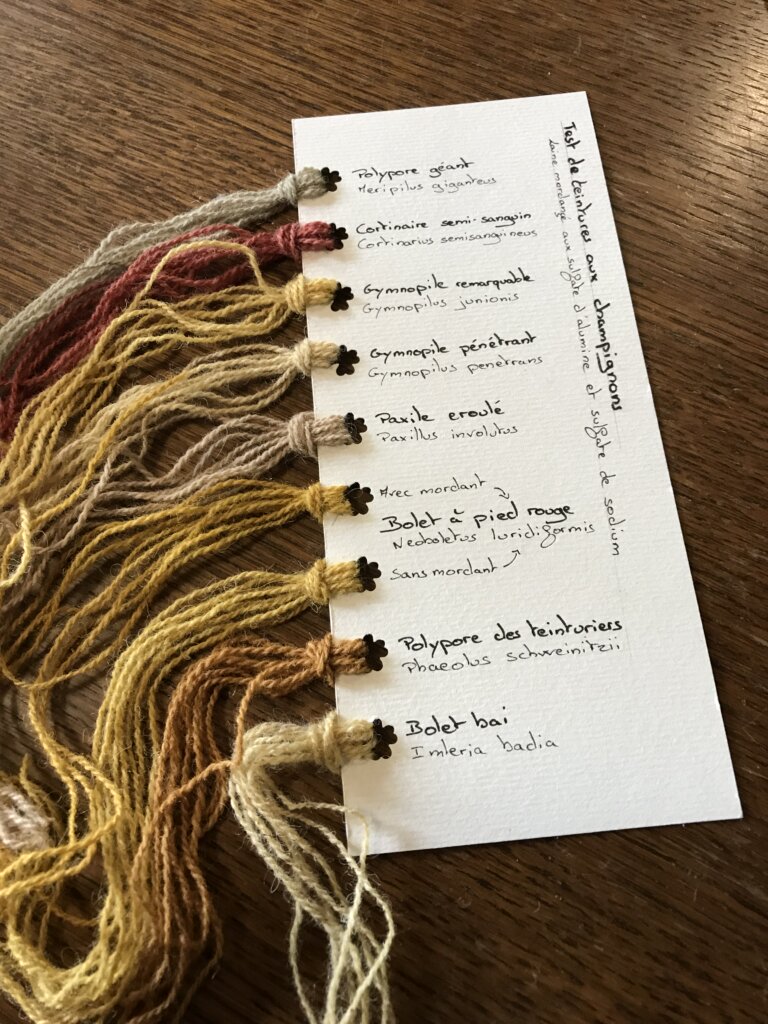 Nuancier de couleurs aux champignons