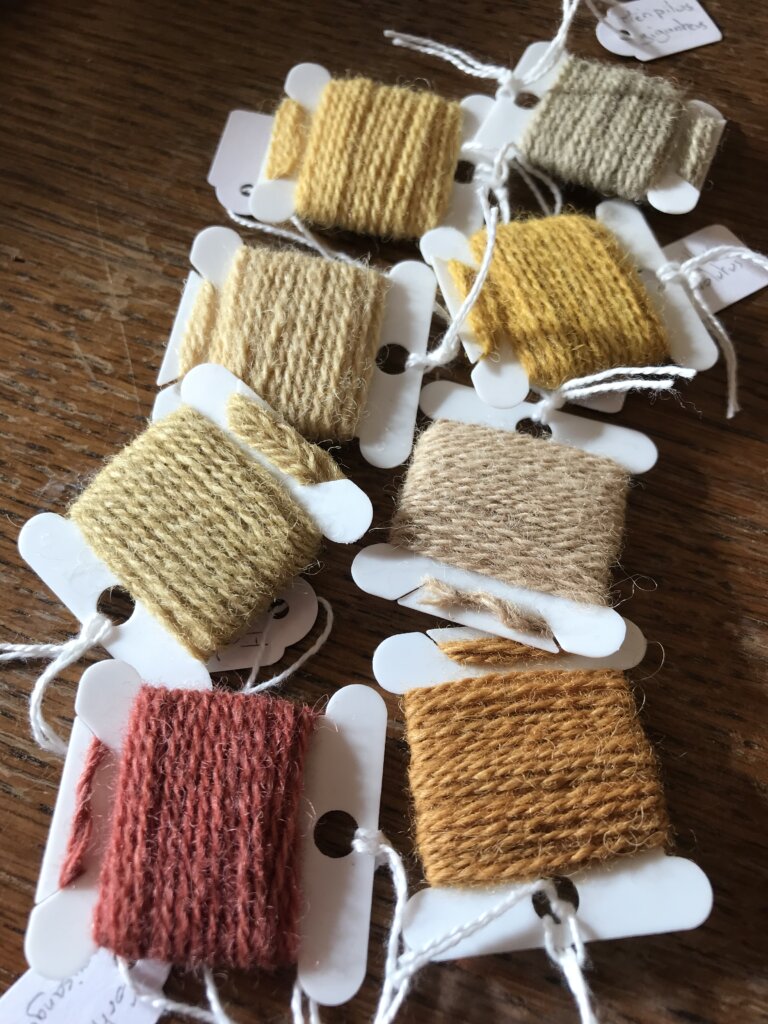 Teinture sur fil de laine aux champignons