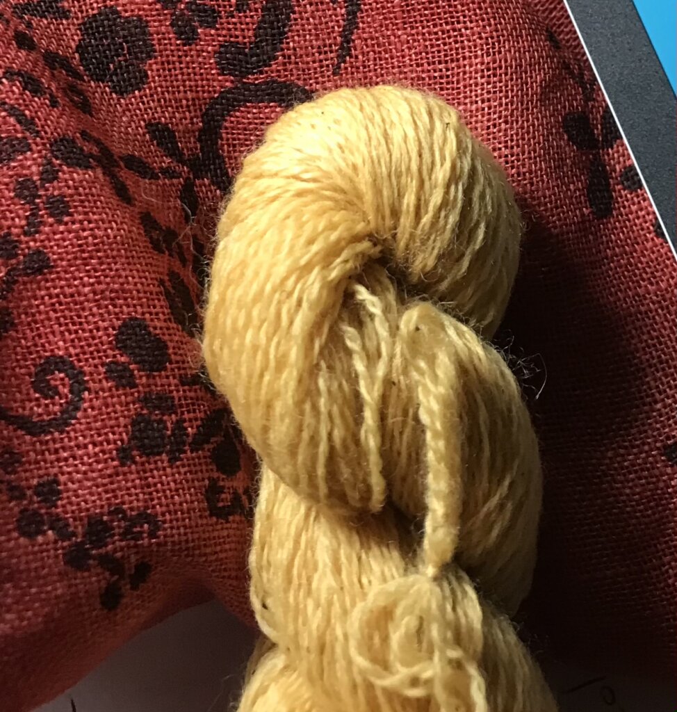 Gymnopilus junonius - Pholiote remarquable